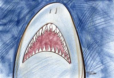 A cartoon shark mouth leading up